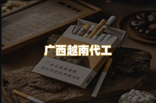 广西越南代工